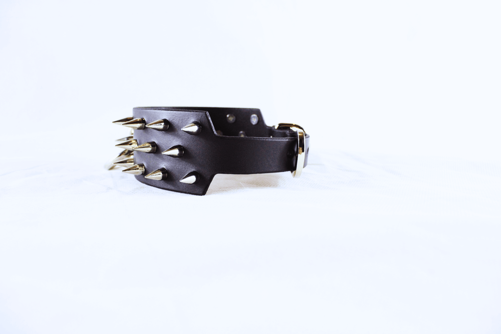 Dominion Leather Collar – Spiked BDSM Posture Collar Choker featuring polished spikes on premium leather.