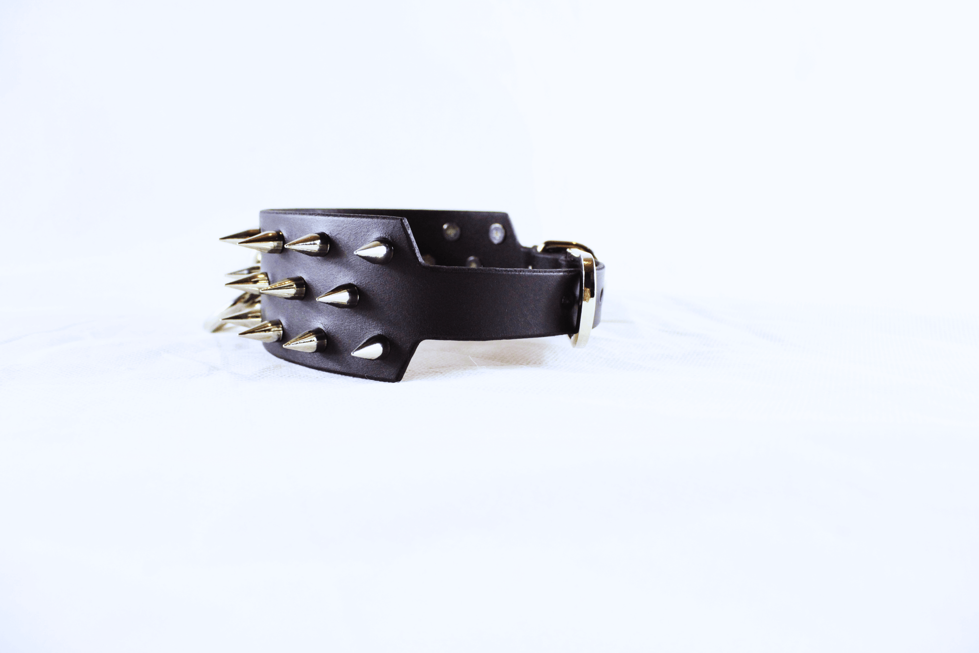 Dominion Leather Collar – Spiked BDSM Posture Collar Choker featuring polished spikes on premium leather.