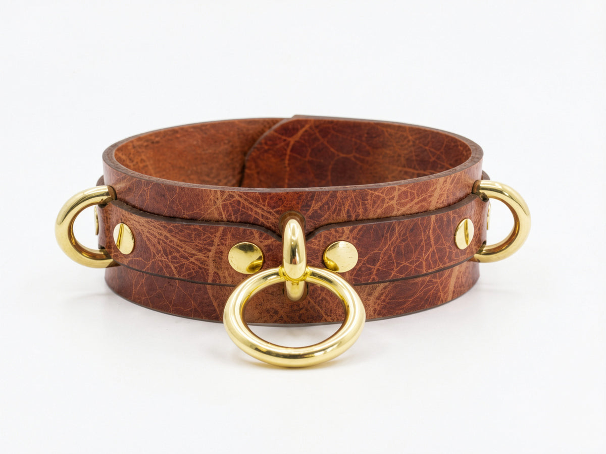 A brown leather choker necklace with gold-colored metal rings and buckles.