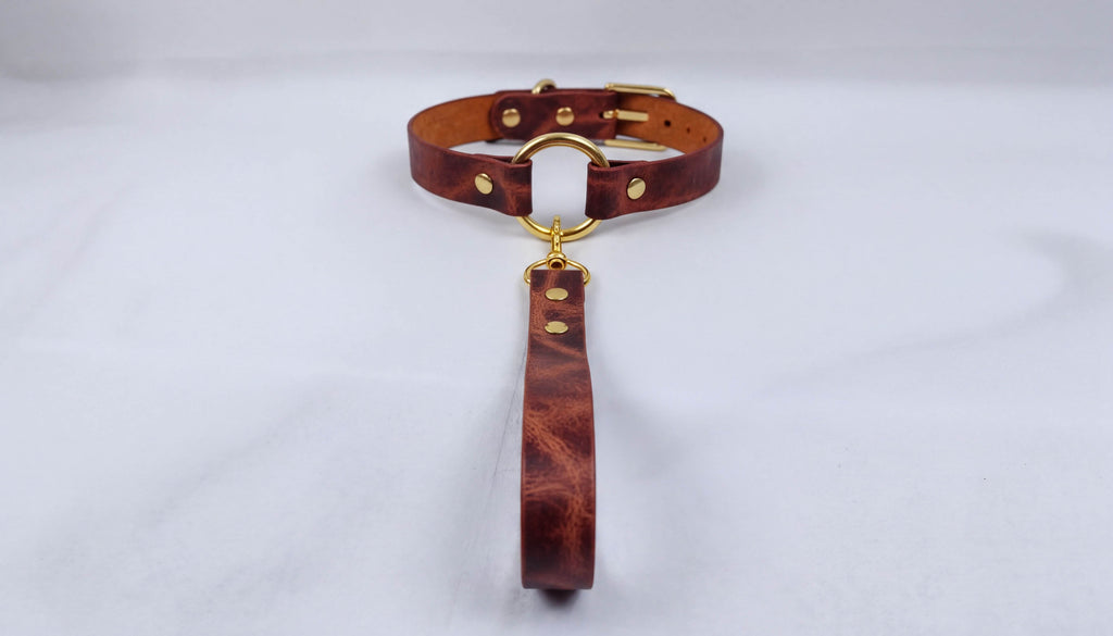 A brown leather collar with a gold-colored buckle and a handle attached to it, resting on a white surface.