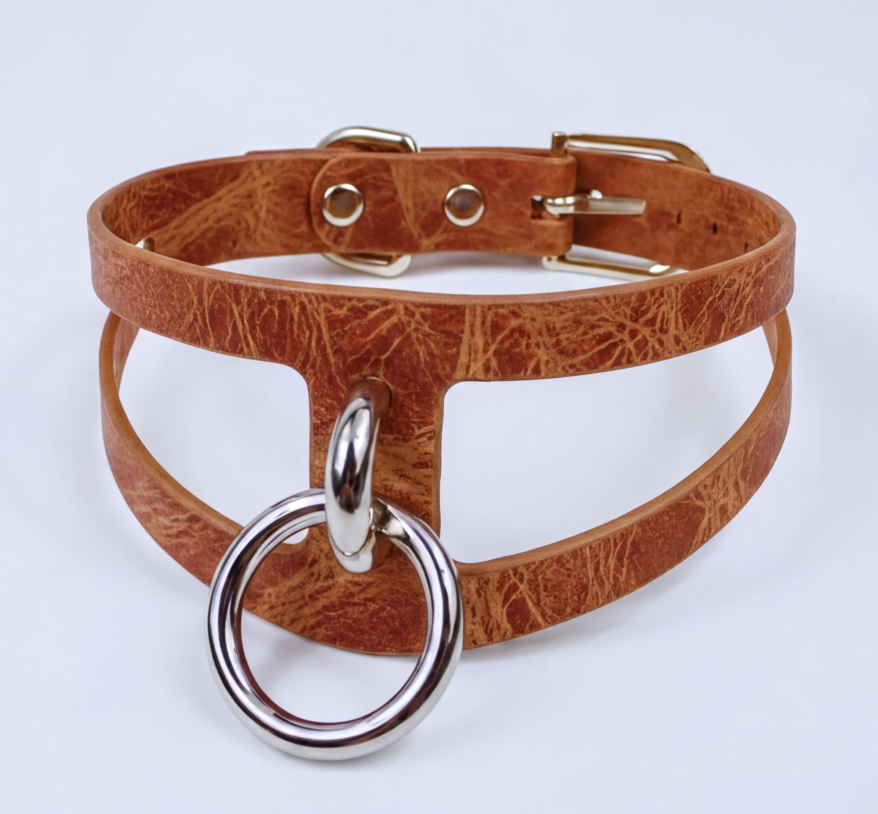 A brown leather choker necklace with a metal ring and buckle.