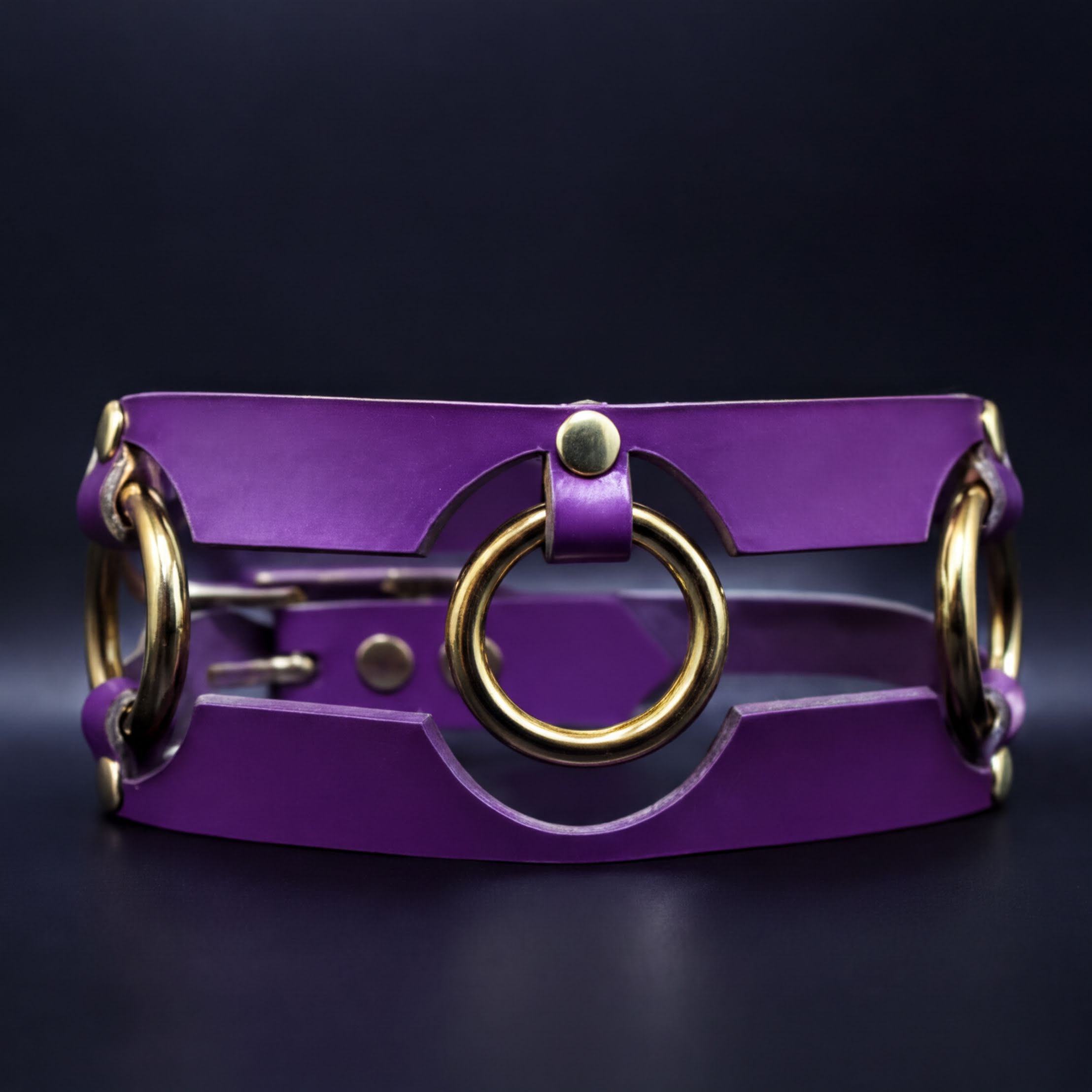 A purple leather choker necklace with gold-colored metal rings.