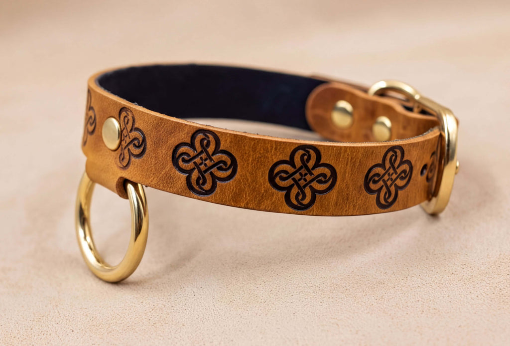 A brown leather dog collar with a gold-colored metal ring and a decorative pattern on the leather.