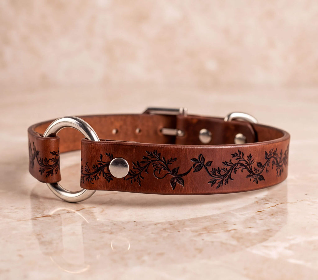A brown leather dog collar with a decorative floral pattern on the strap.