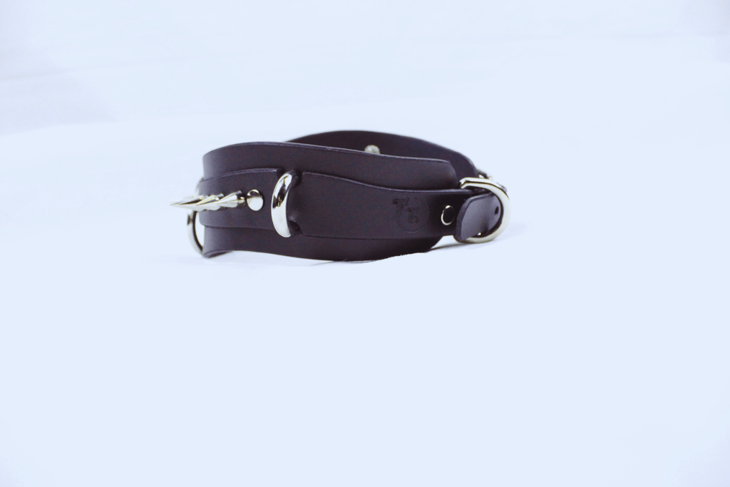 Obsidian BDSM Collar – Double Ring Submissive Choker Posture Collar in premium black leather with stainless steel rings.