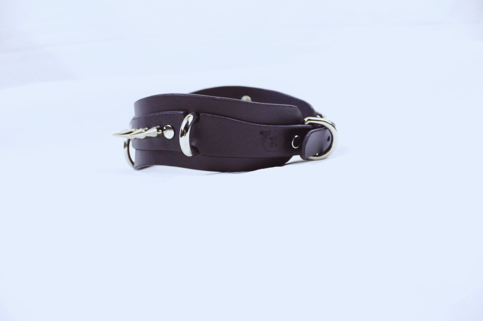 Obsidian BDSM Collar – Double Ring Submissive Choker Posture Collar in premium black leather with stainless steel rings.