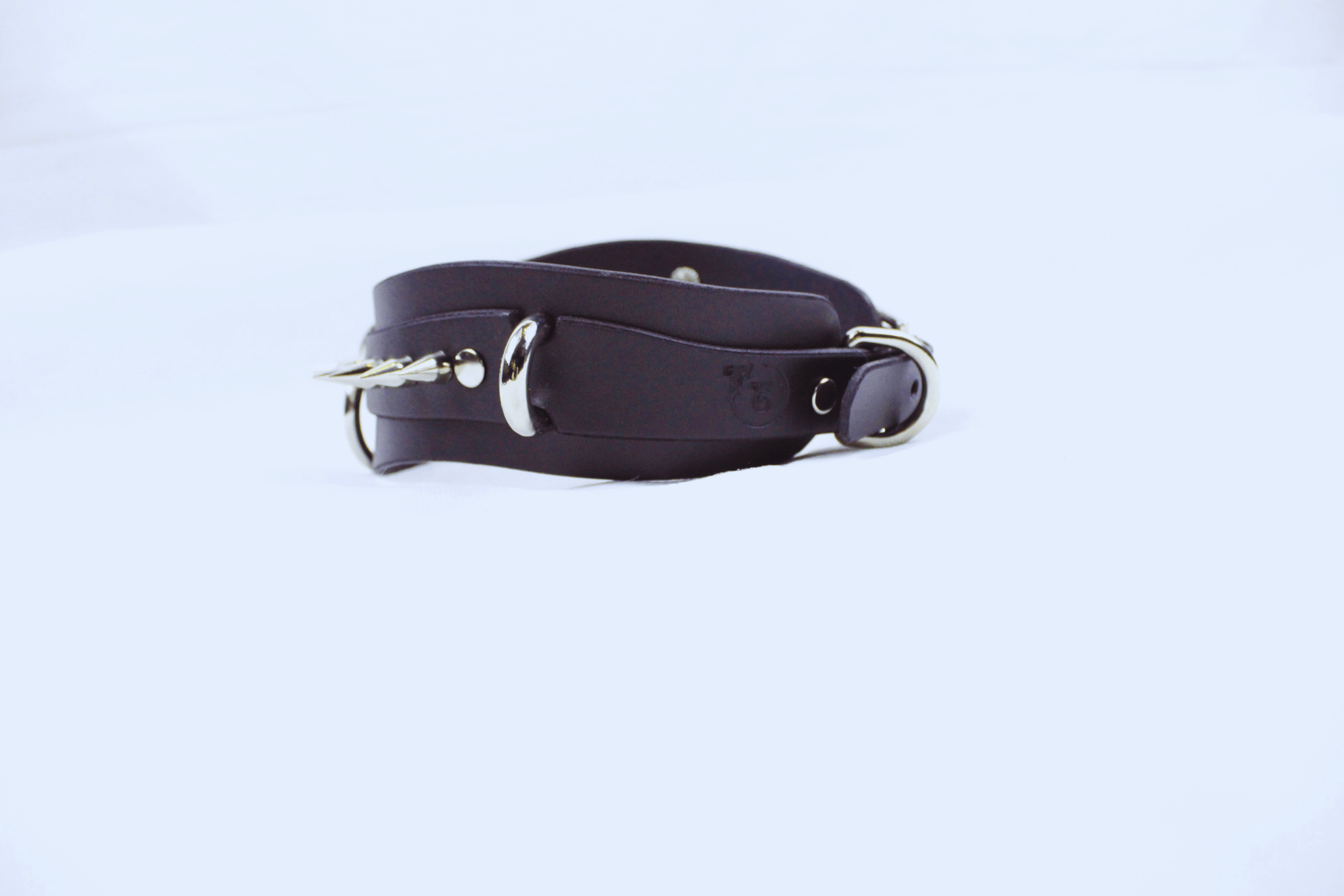 Obsidian BDSM Collar – Double Ring Submissive Choker Posture Collar in premium black leather with stainless steel rings.