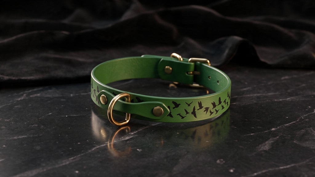 A green leather collar with a bird design on it, placed on a black marble surface.