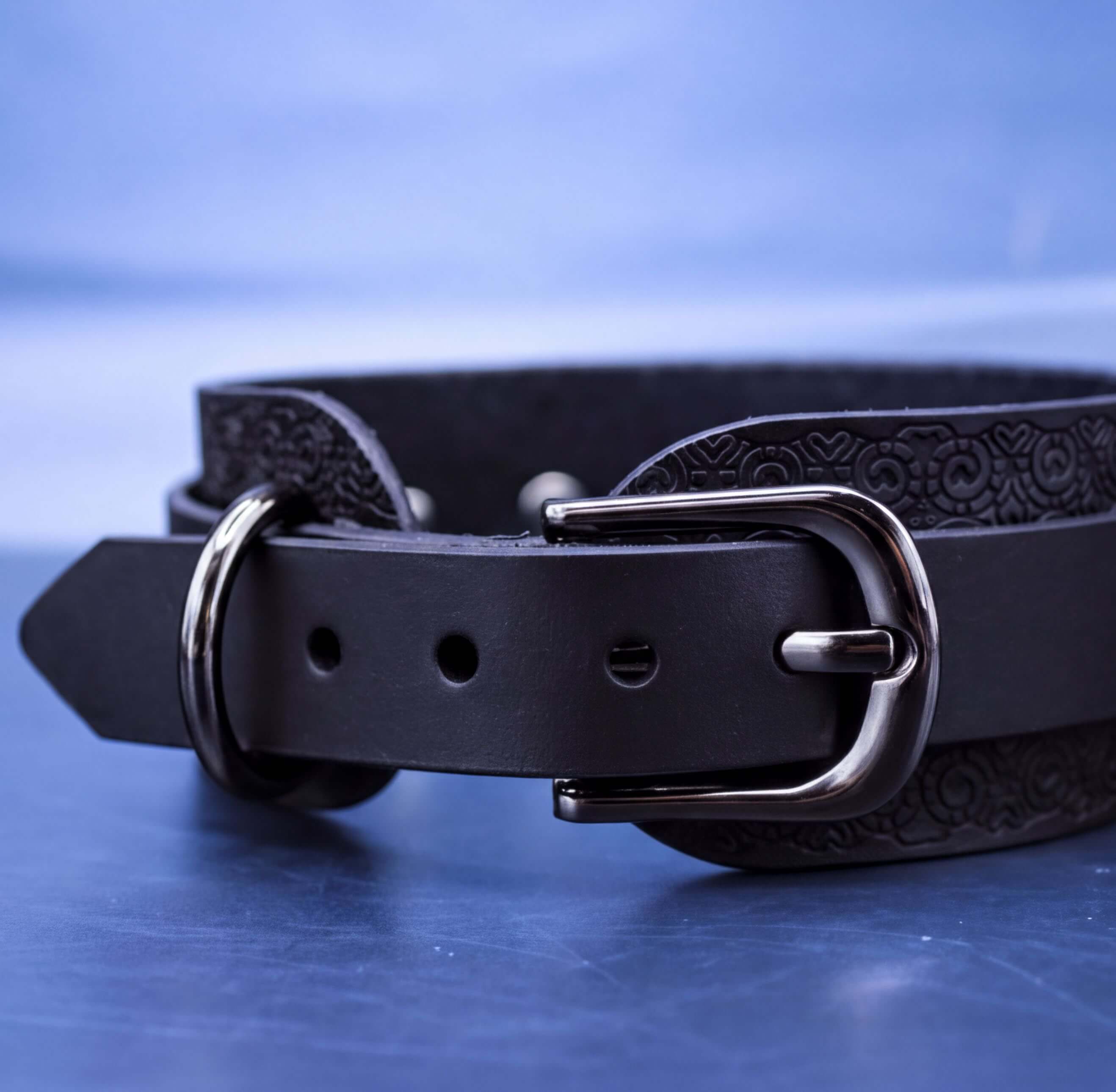 A close-up view of a black leather collar with a metal buckle, set against a blue background.