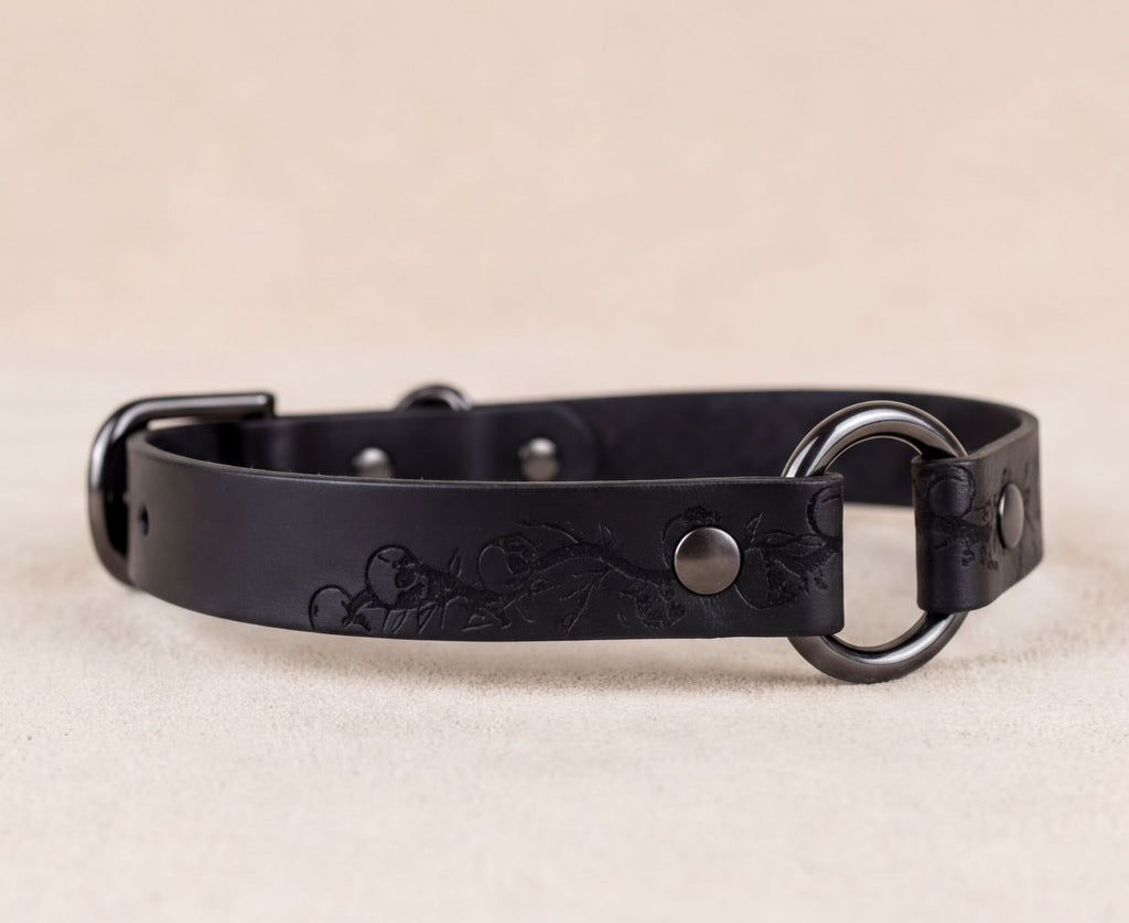 A black leather dog collar with a metal ring and buckle.