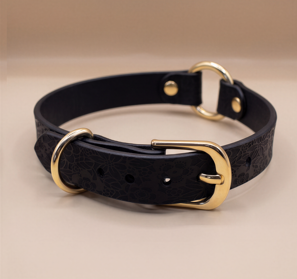 A black leather collar with a gold buckle and two metal rings.