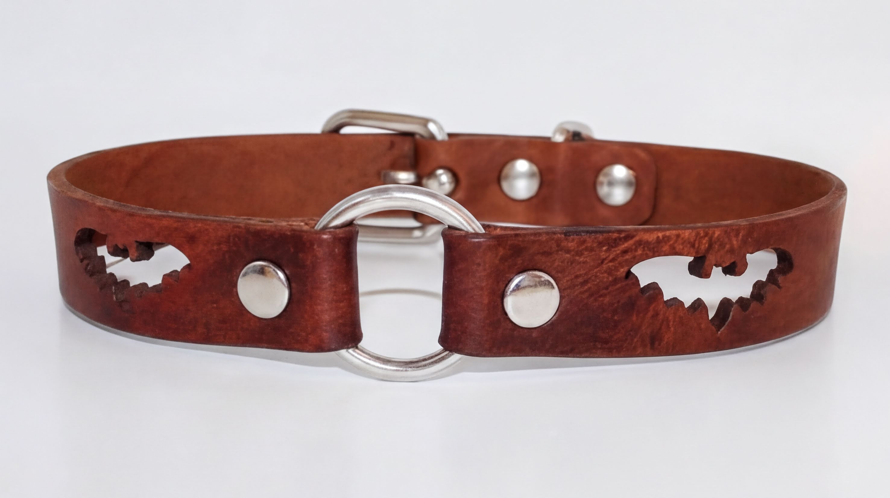 A brown leather dog collar with a silver buckle and bat-shaped cutouts on the sides.