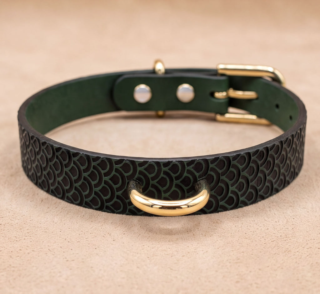 A black leather dog collar with a gold-colored metal buckle and a scalloped pattern design.