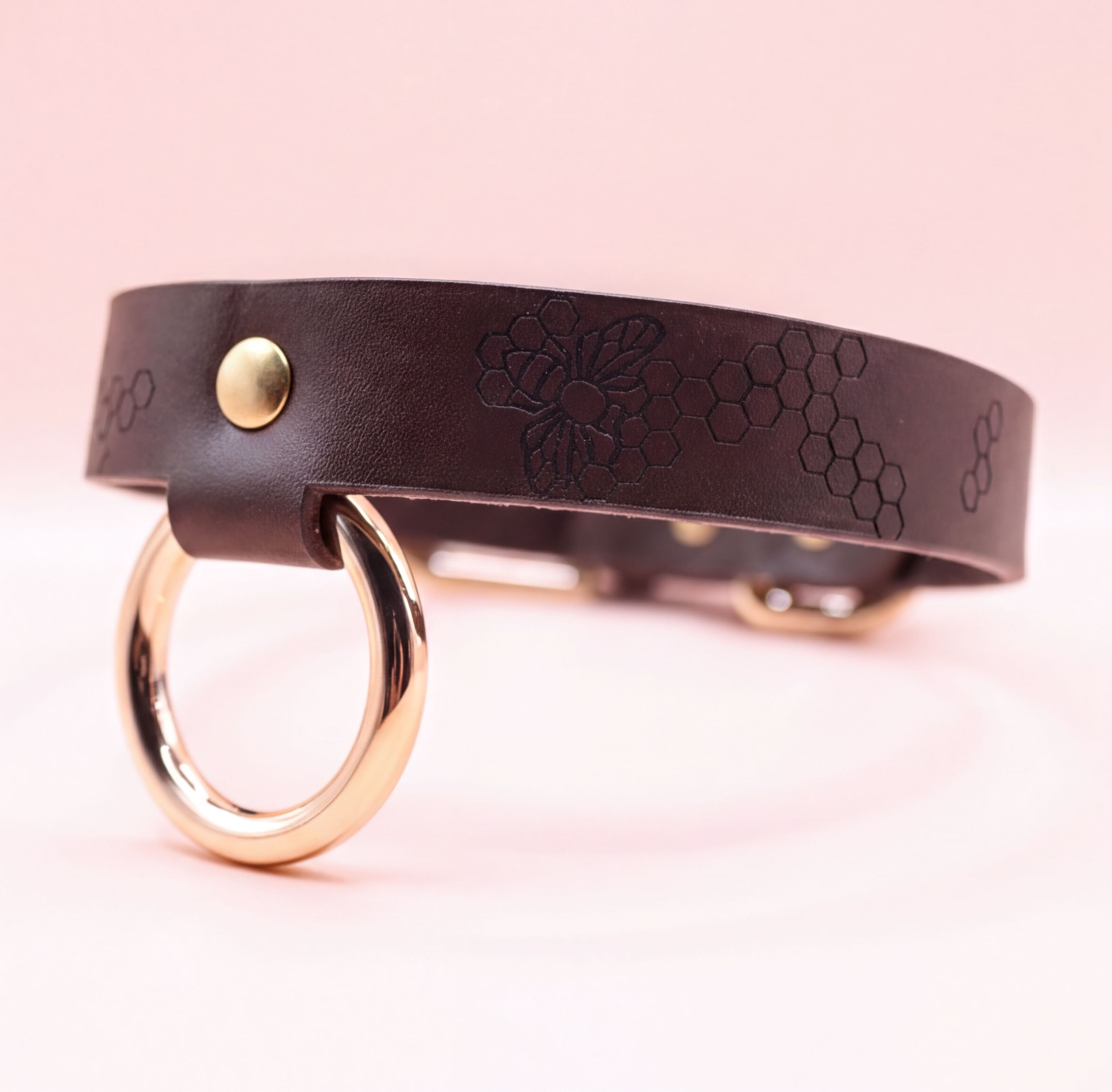 A close-up image of a brown leather collar with a gold-colored ring and a floral pattern on the strap.