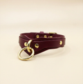 A burgundy leather choker necklace with a gold-colored metal ring and a gold-colored metal buckle.