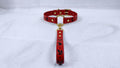 A red leather collar with a gold buckle and a black leaf design on the strap is displayed on a white surface.