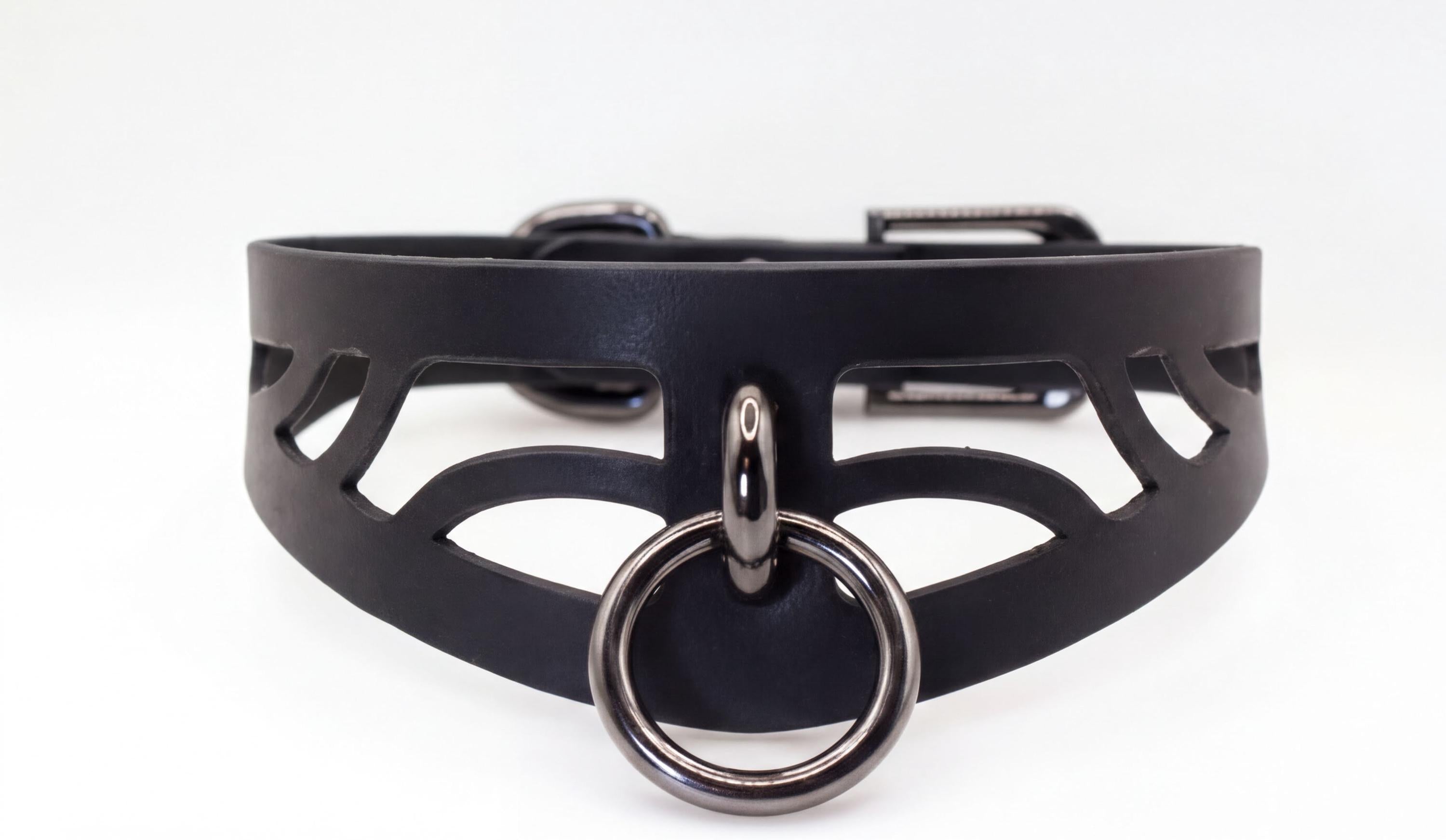 A black leather choker necklace with a metal ring and a metal buckle.