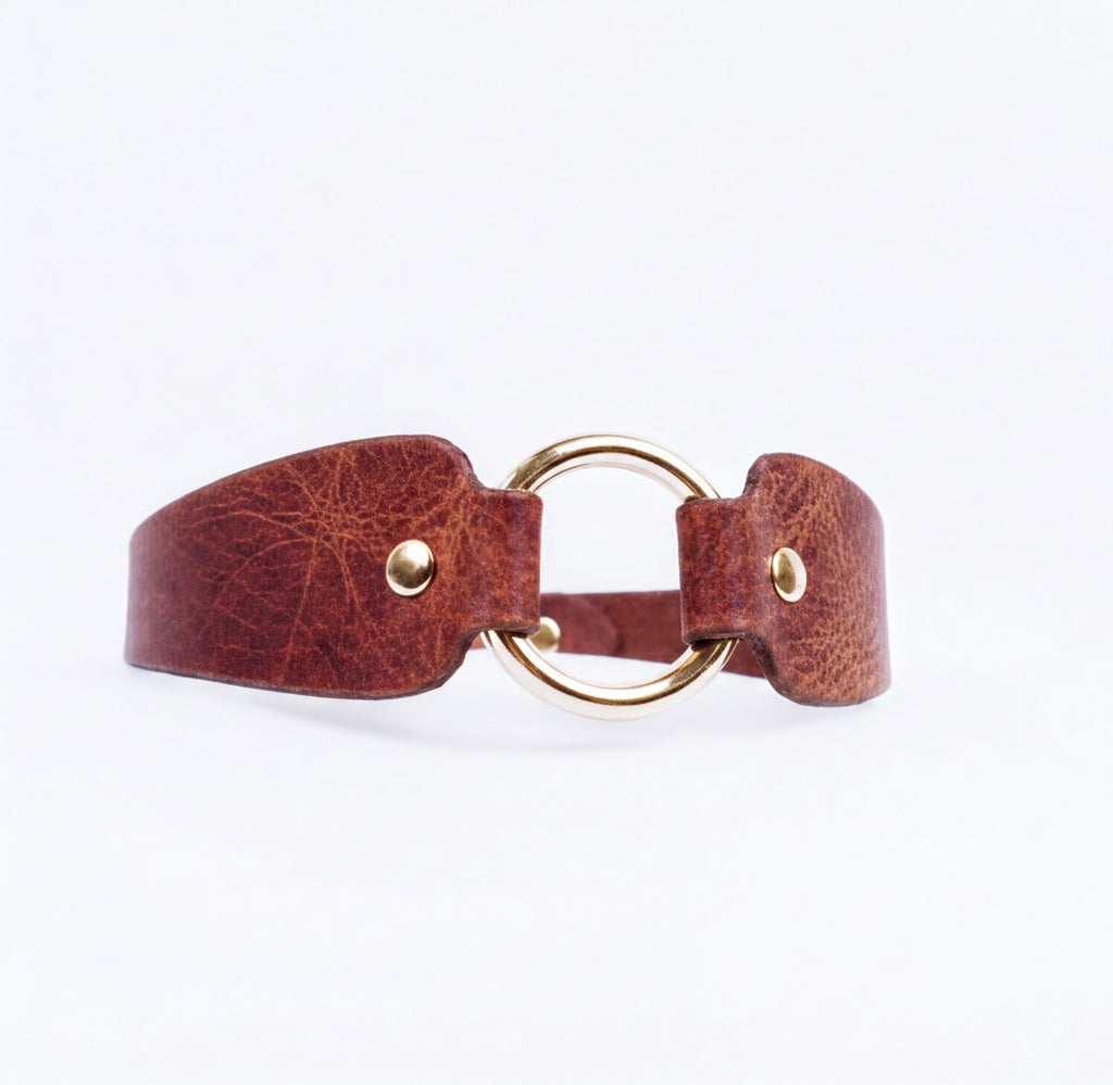 A brown leather choker necklace with a gold-colored circular buckle.