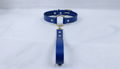 A blue leather collar with a gold-colored buckle and a dangling handle is shown against a white background.