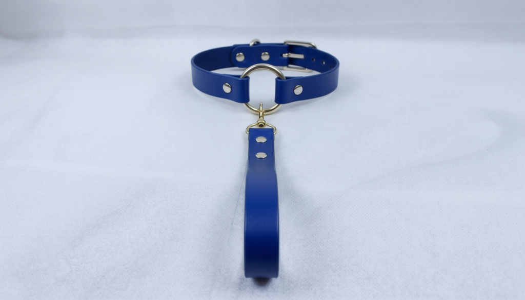 A blue leather collar with a gold-colored buckle and a dangling handle is shown against a white background.