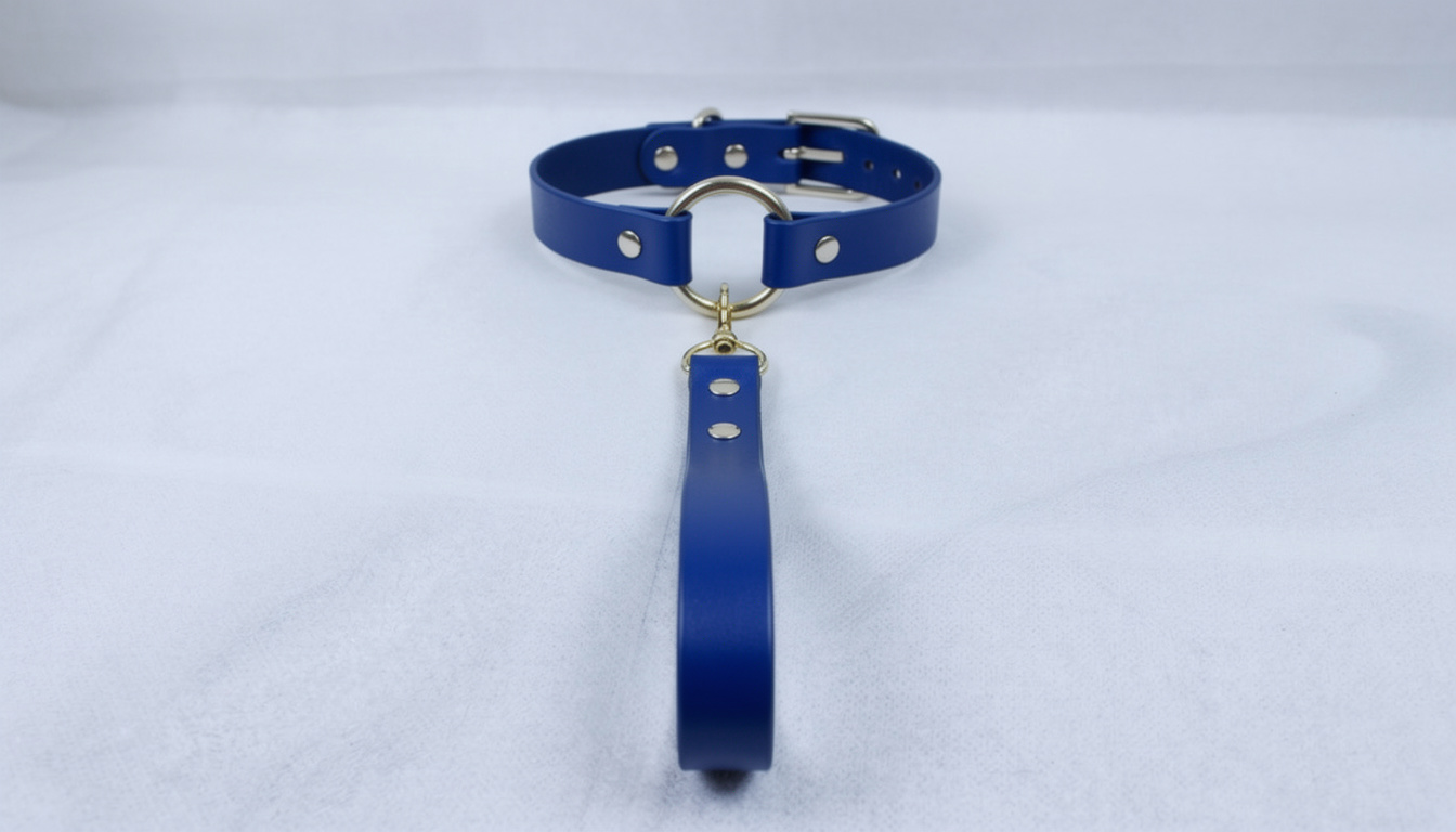 A blue leather collar with a gold-colored buckle and a dangling handle is shown against a white background.