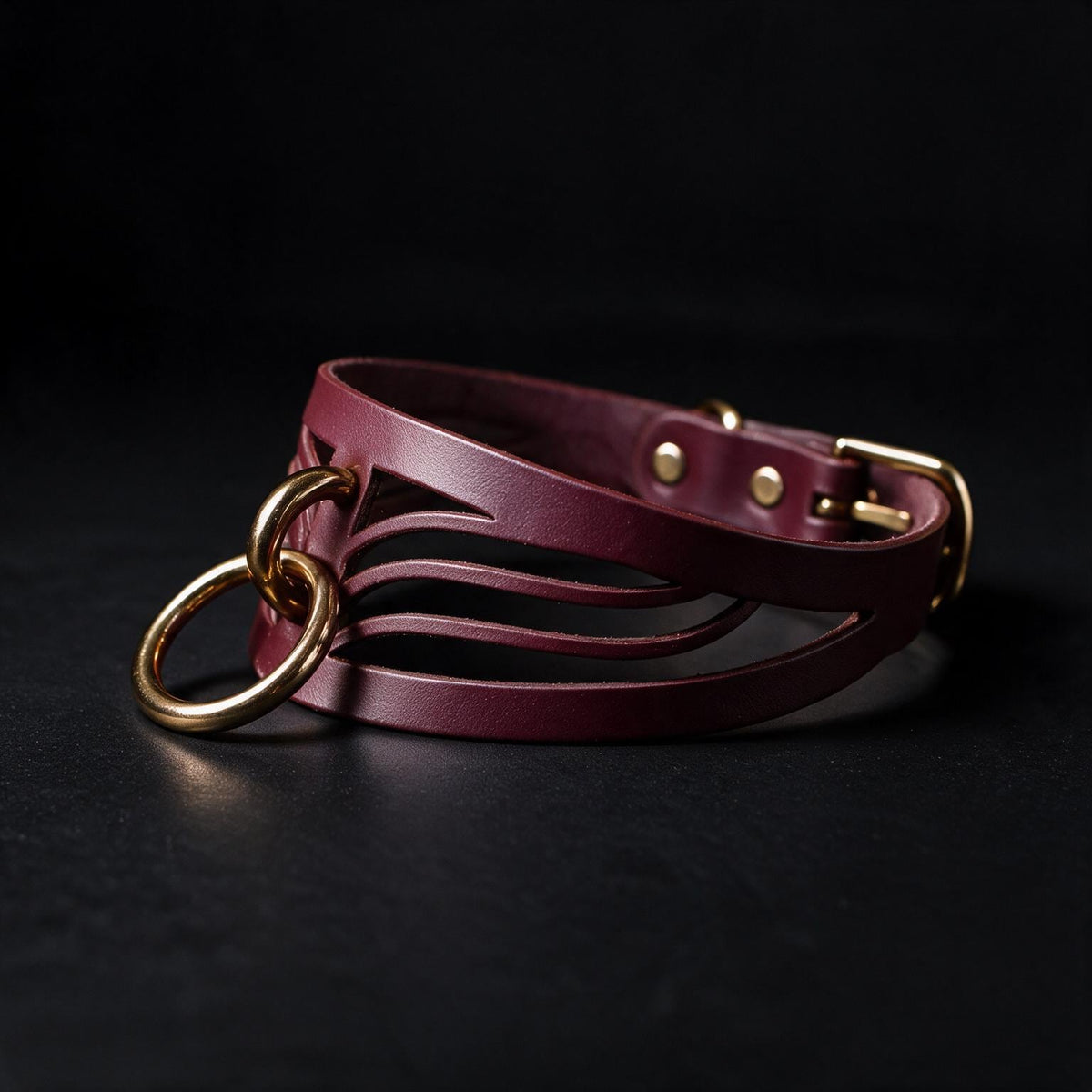 A burgundy leather choker necklace with a gold-colored metal ring and buckle is displayed against a dark background.