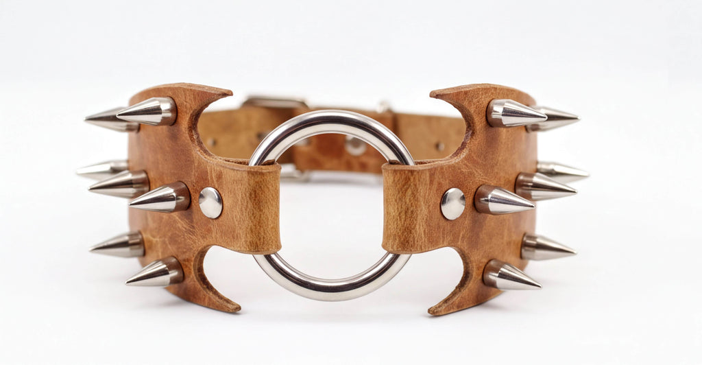 A leather collar with spikes protruding from it, and a metal ring in the center.
