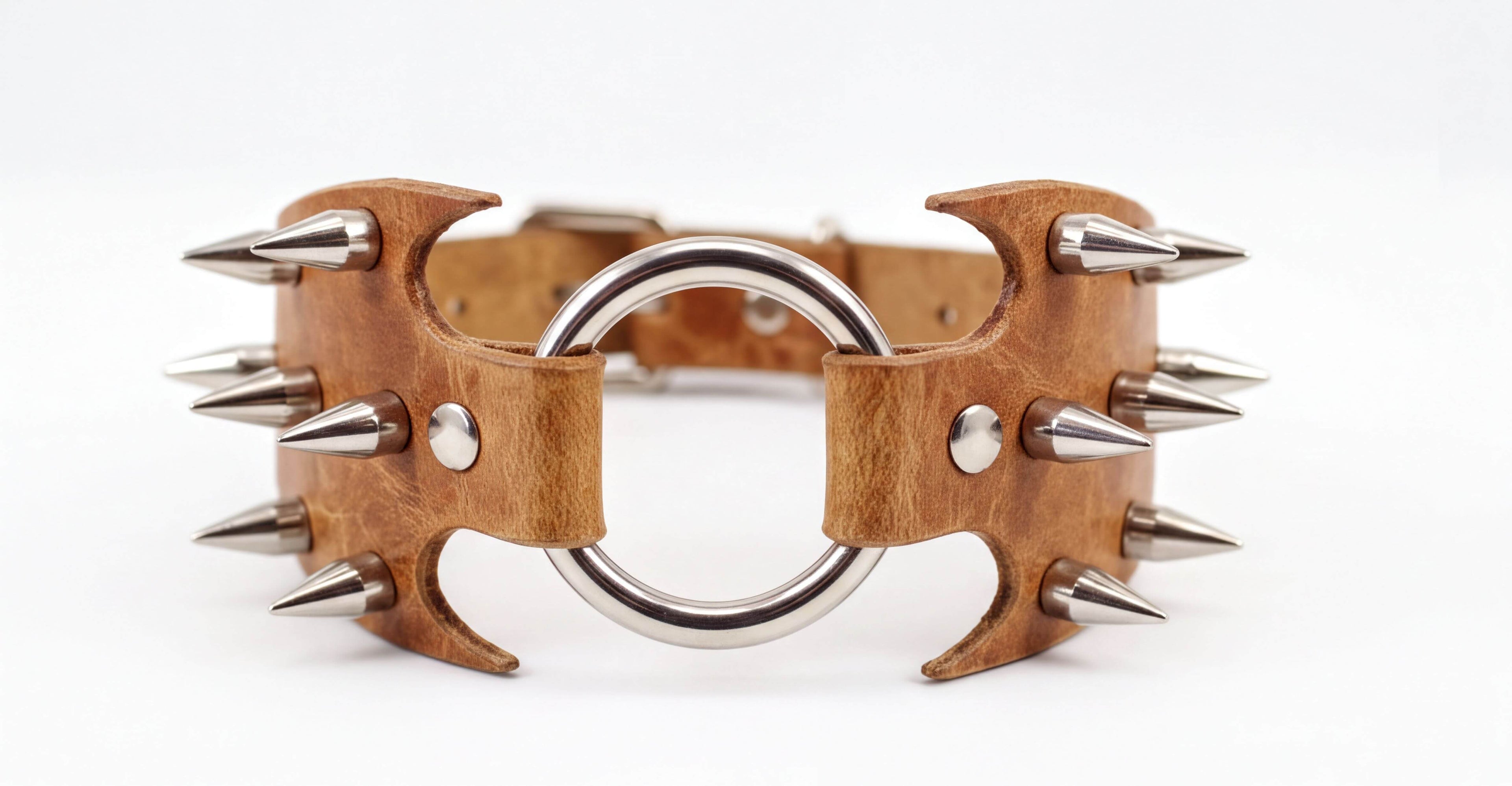 A leather collar with spikes protruding from it, and a metal ring in the center.