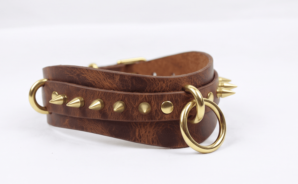 A brown leather collar with gold studs and a ring on it.