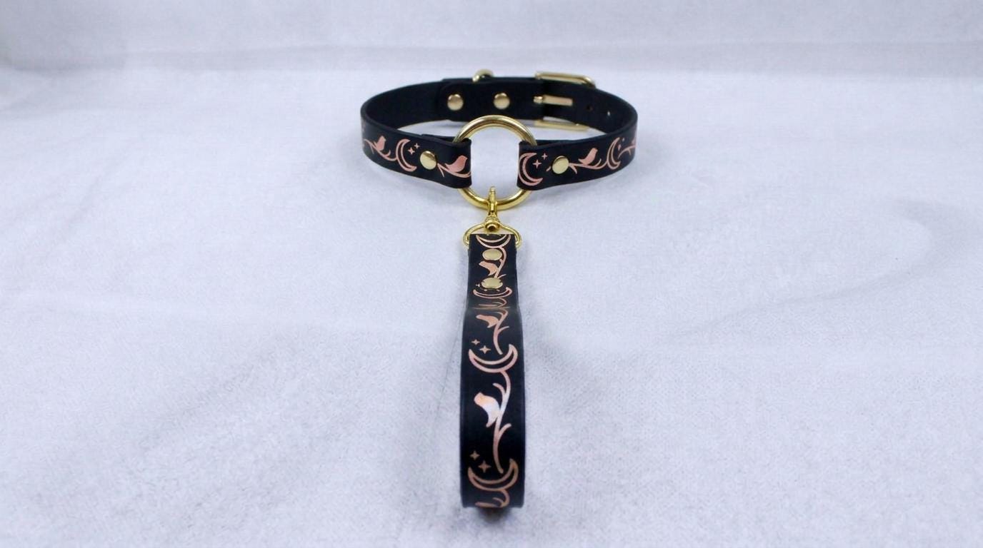 A black collar with a gold-colored buckle and a decorative strap is displayed on a white surface.