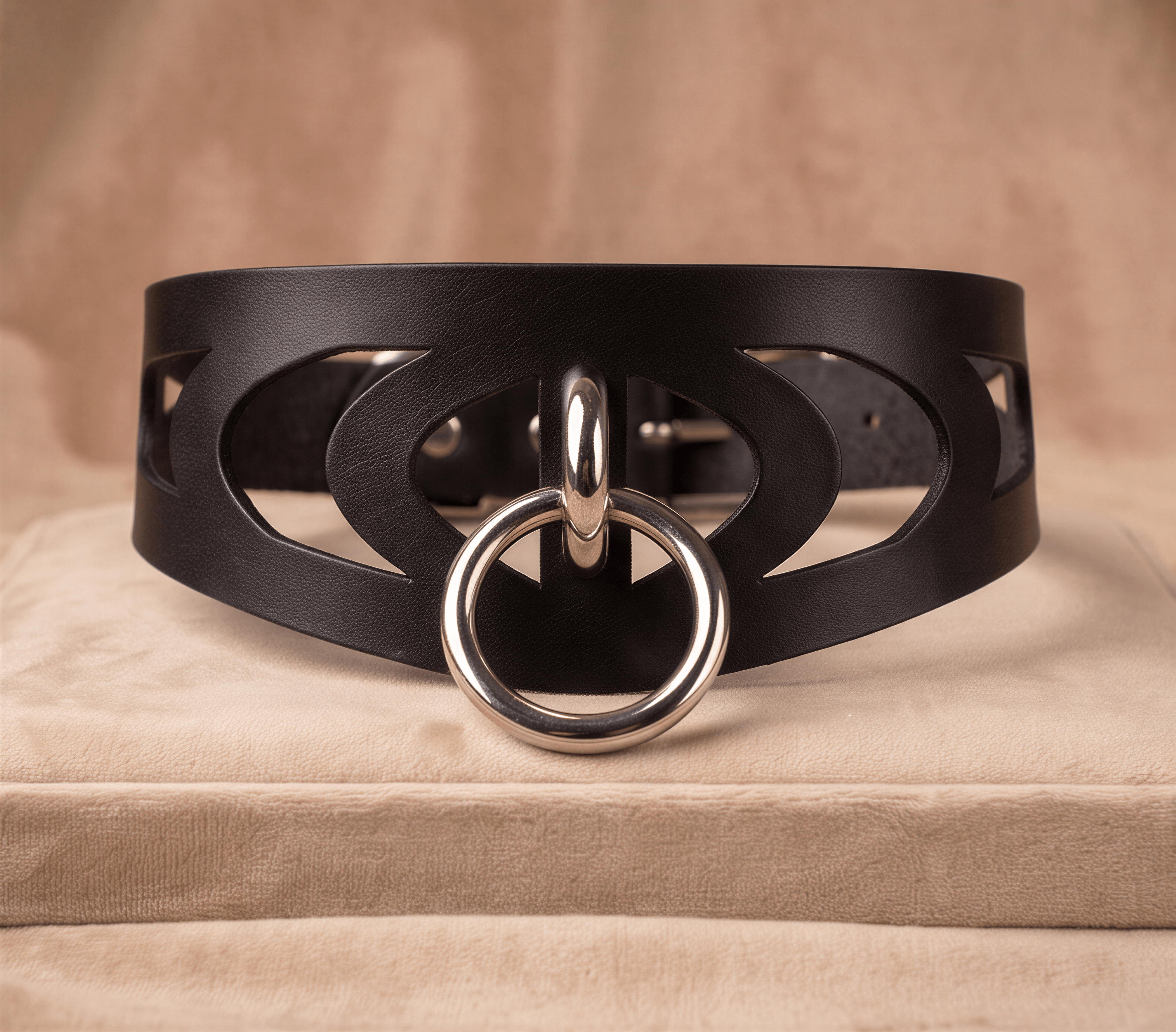 A black leather choker collar with a silver ring and cutout design.