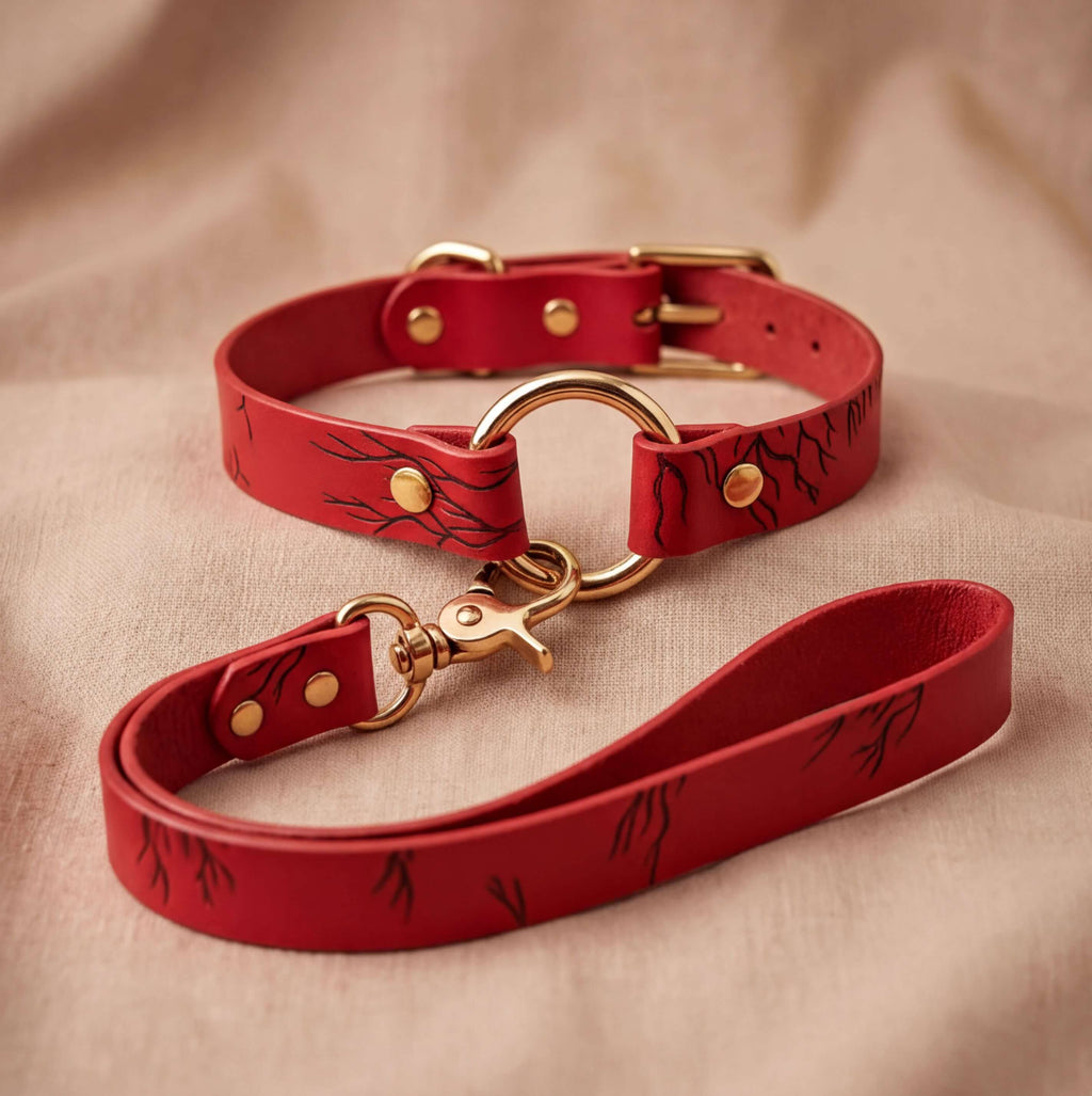 A red leather dog collar with a gold-colored buckle and a matching red leash with a similar design.
