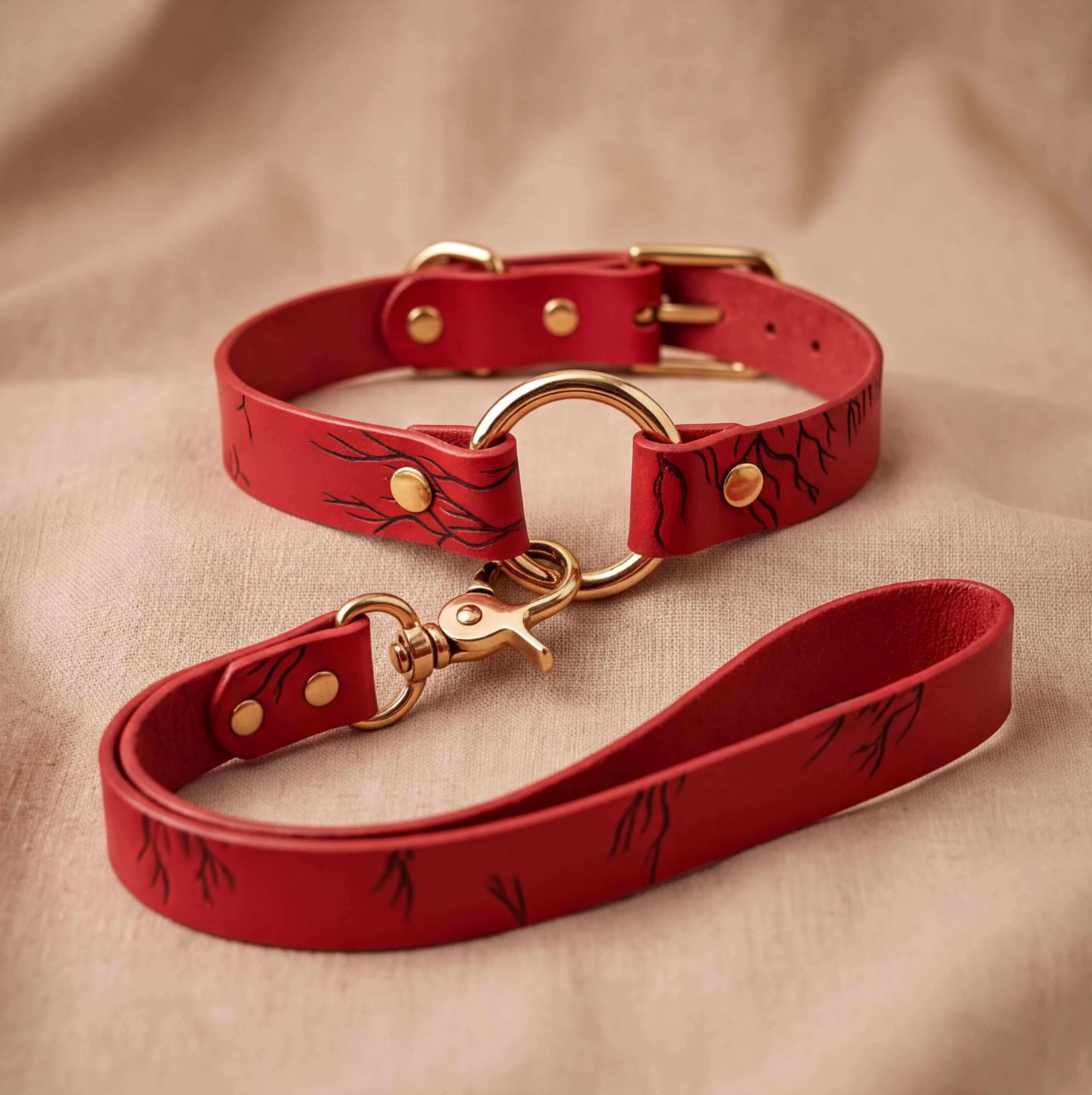 A red leather dog collar with a gold-colored buckle and a matching red leash with a similar design.
