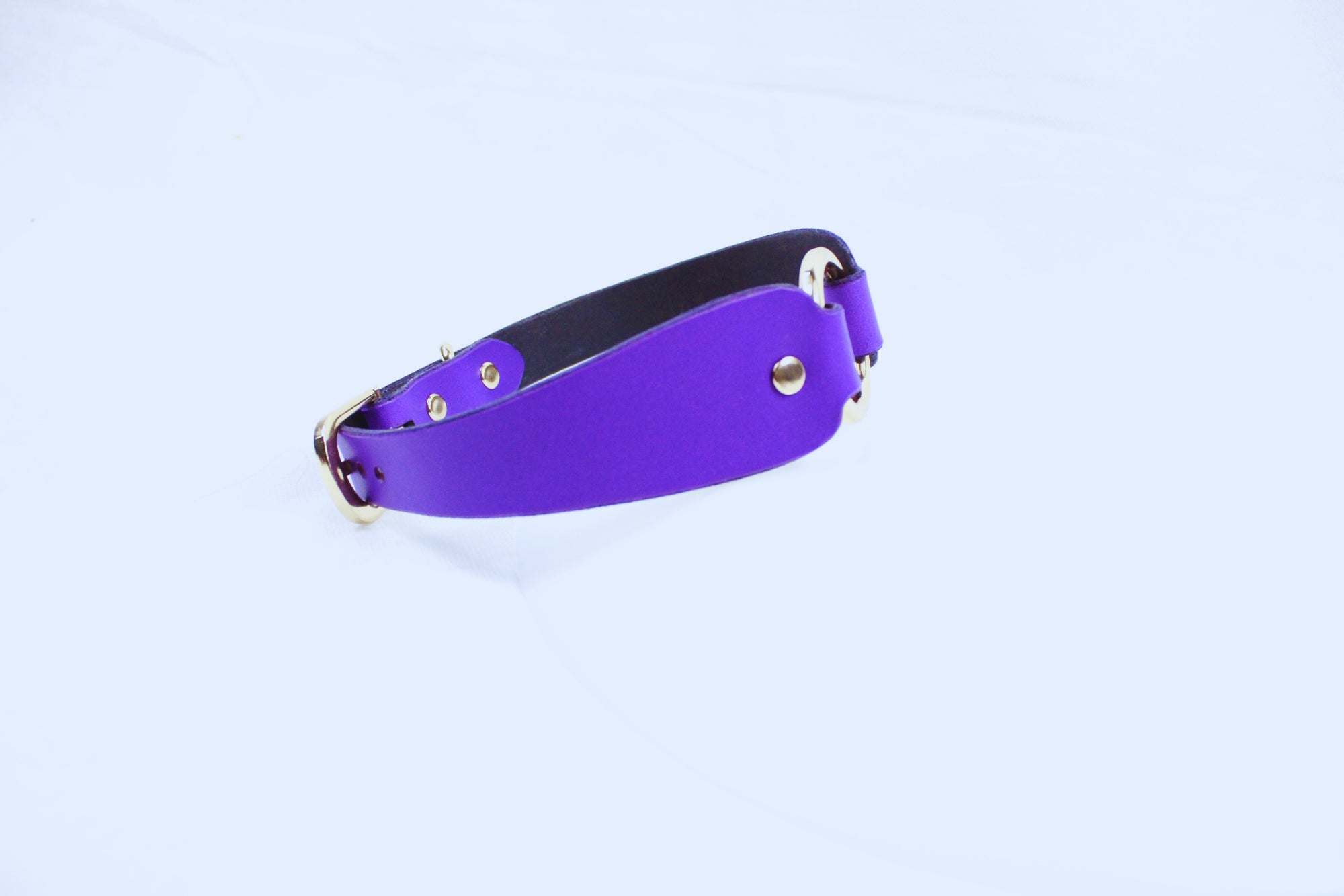 A purple leather collar with a gold buckle is shown against a white background.