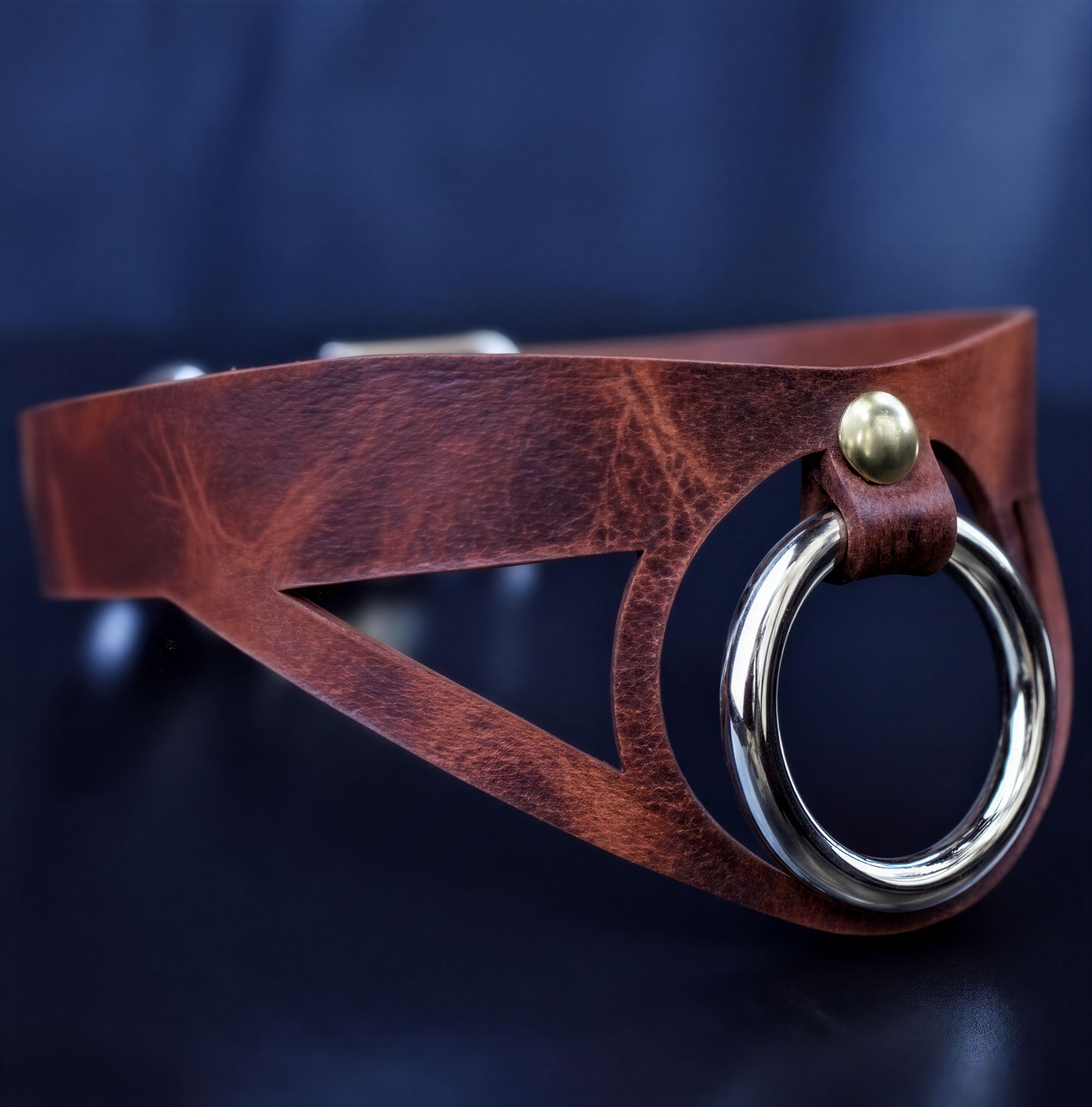A close-up view of a brown leather choker necklace with a metal ring and a metal loop.