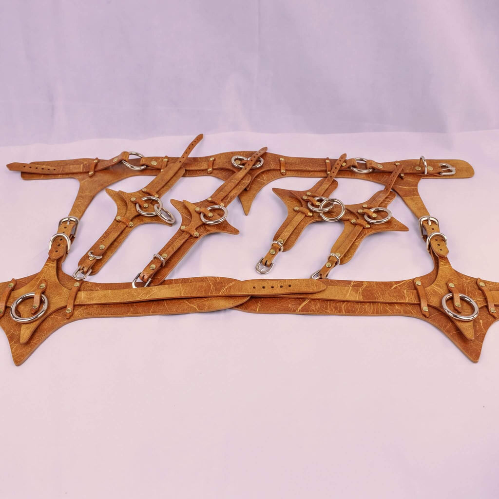 a collection of leather straps or belts, some of which appear to be made of a shiny material. The straps are arranged in a way that they overlap each other, creating a layered effect. The image does not contain any text or specific details about the objects, and it does not depict any actions or movements.