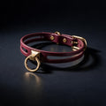 A burgundy leather collar with a gold-colored buckle and ring is displayed against a dark background.
