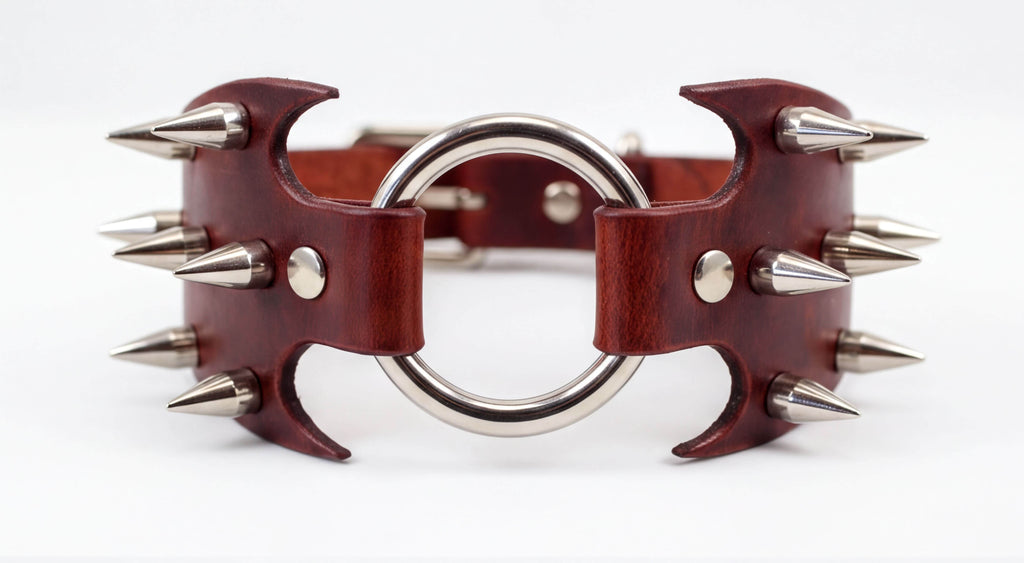 A close-up image of a leather collar with metal spikes protruding from it.