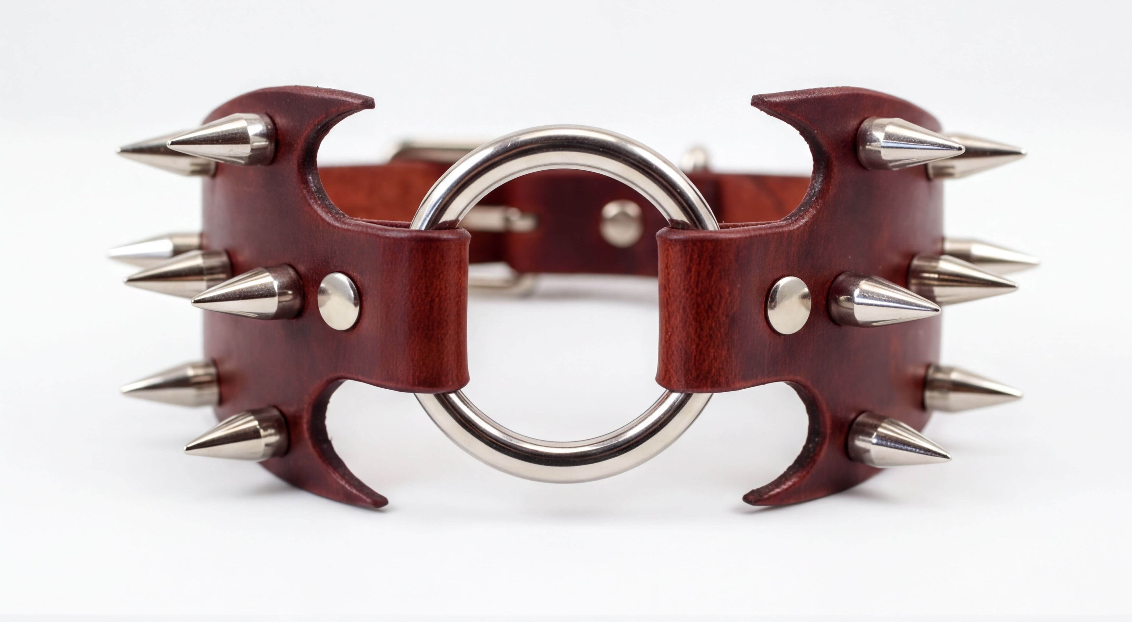 A close-up image of a leather collar with metal spikes protruding from it.