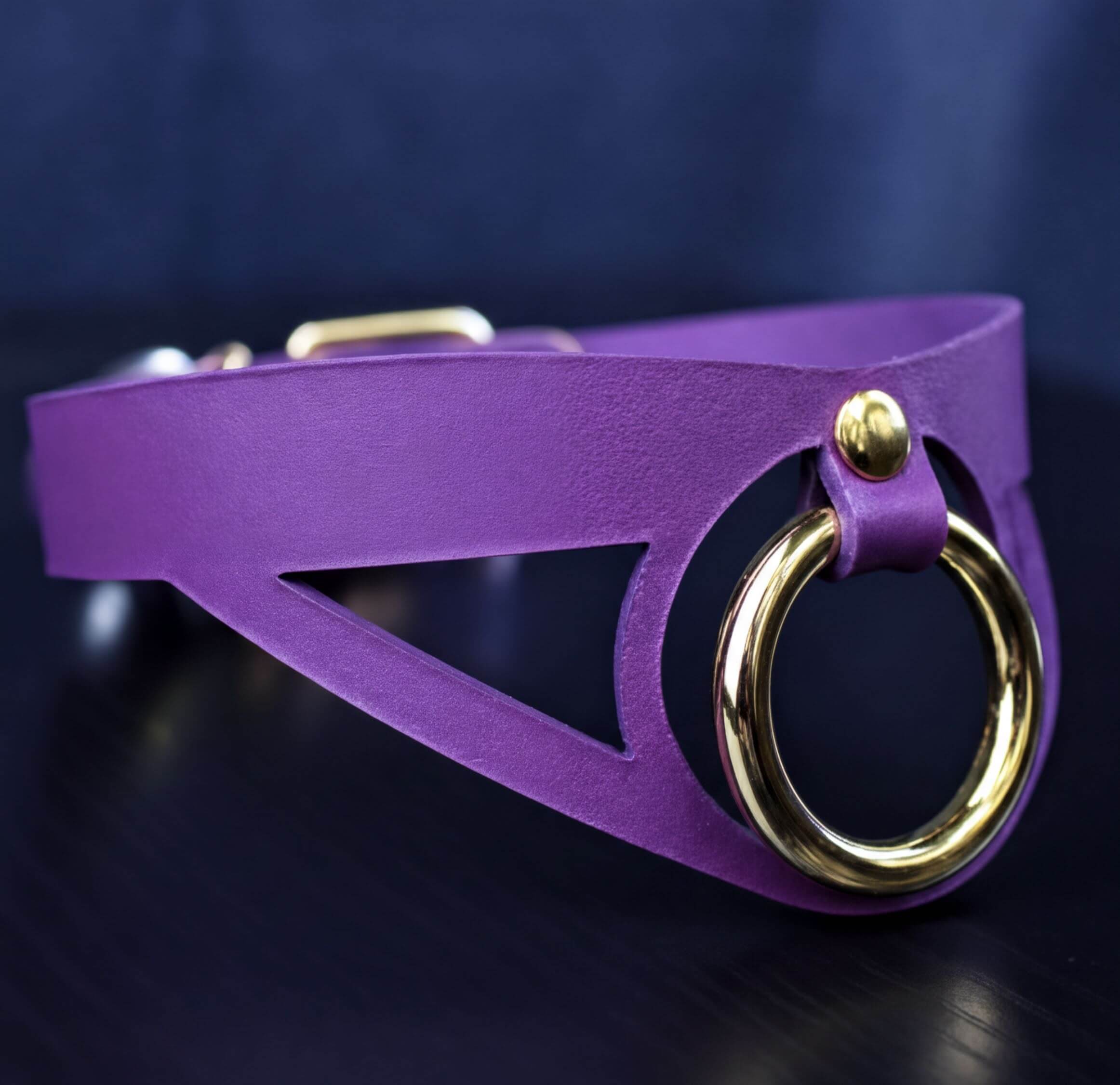 A purple leather choker necklace with a gold-colored circular ring on the front.