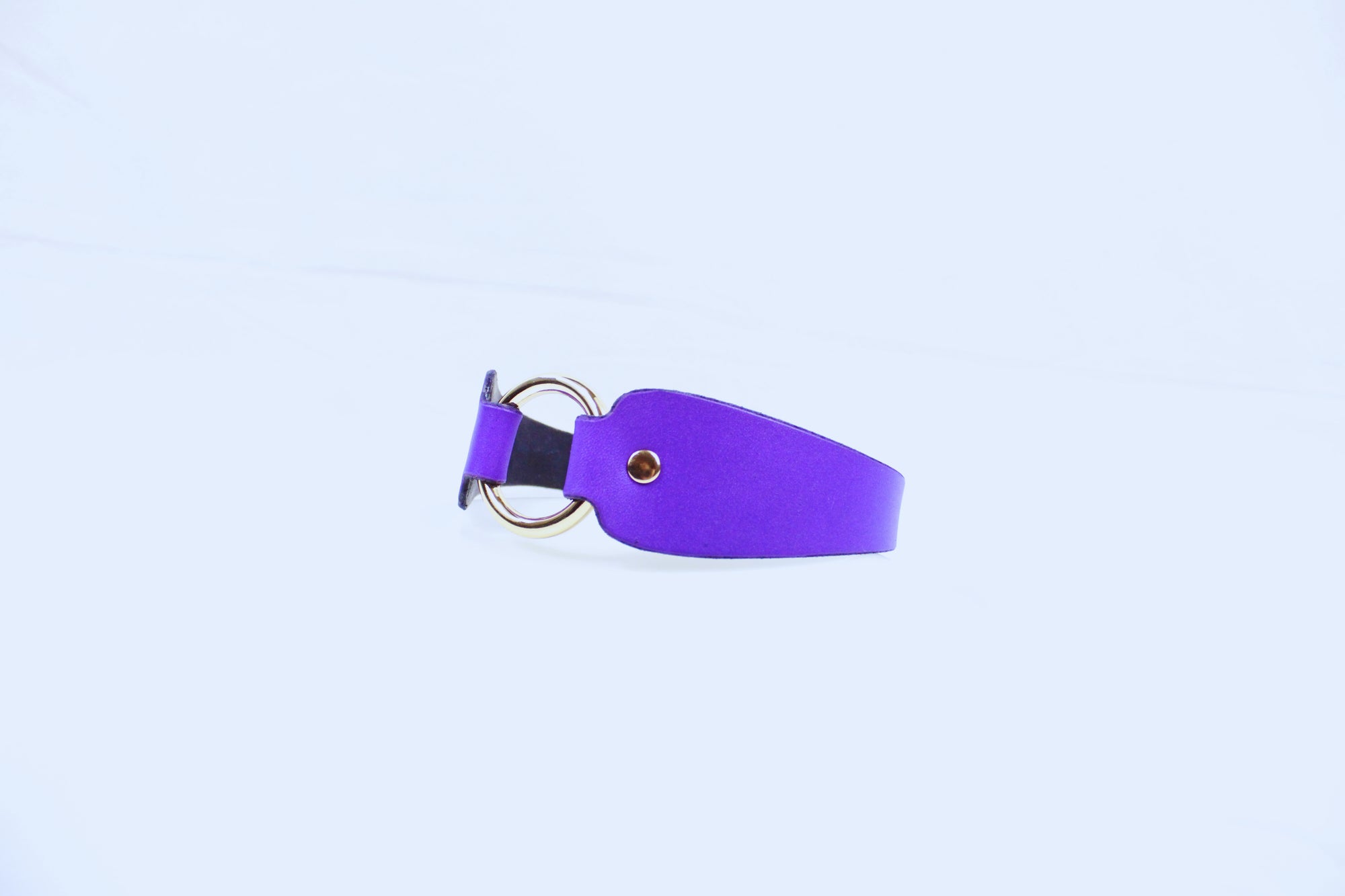 A purple leather strap with a gold ring and a small hole is shown against a white background.