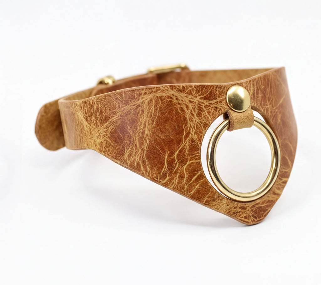 A brown leather choker necklace with a gold-colored metal ring on the front.