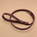 A brown leather dog leash with a metal clasp and buckle is shown on a beige background.