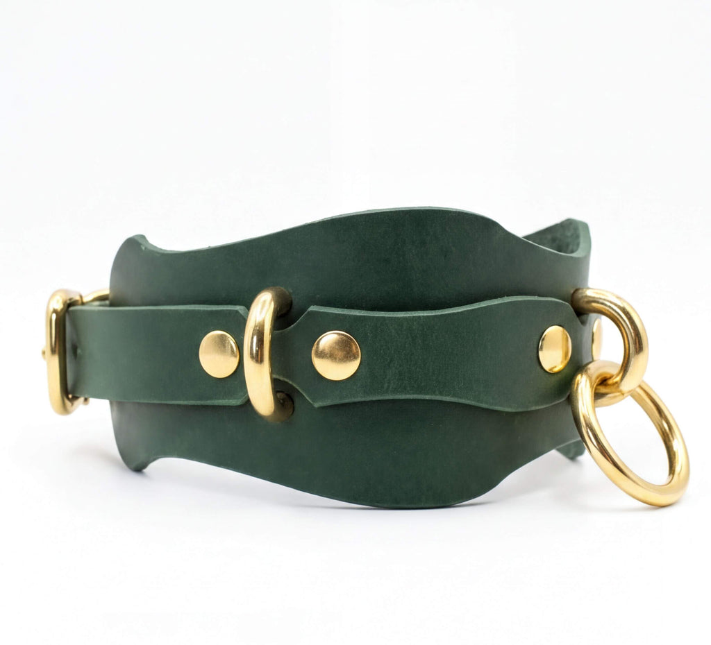 A green leather collar with gold metal rings and buckles.