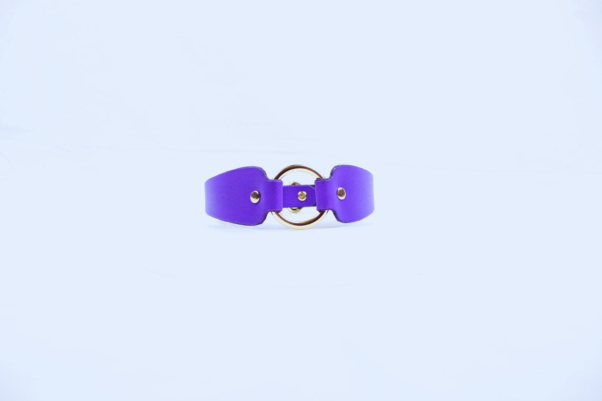 A purple leather choker necklace with a gold-colored buckle is shown against a plain white background.
