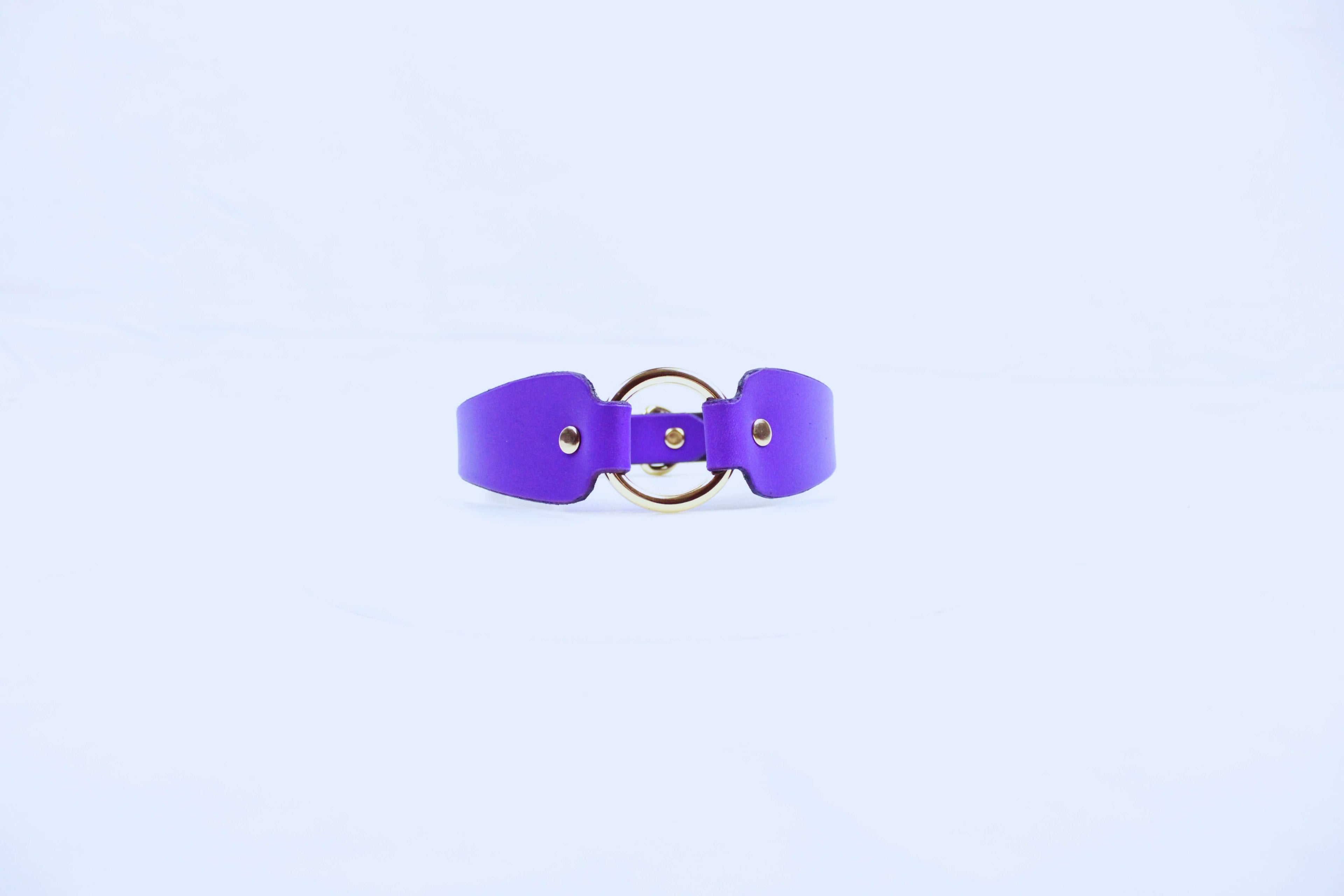 Submissive Collar With Ring – Discreet Day Collar Jewelry For Devotion in purple leather.
