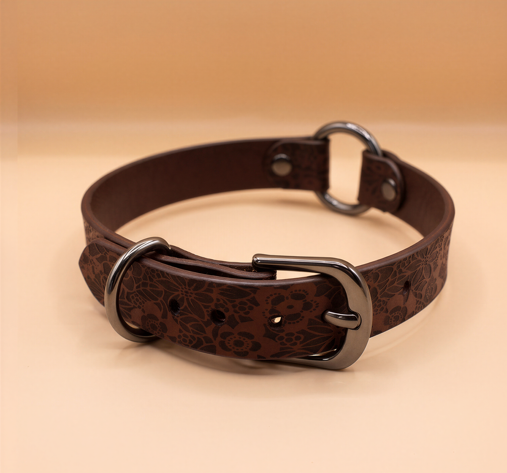 A brown leather collar with a metal buckle and two metal rings.