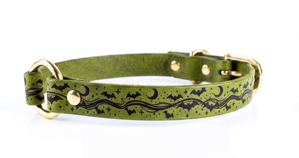 A green leather dog collar with a black bat and star pattern design.