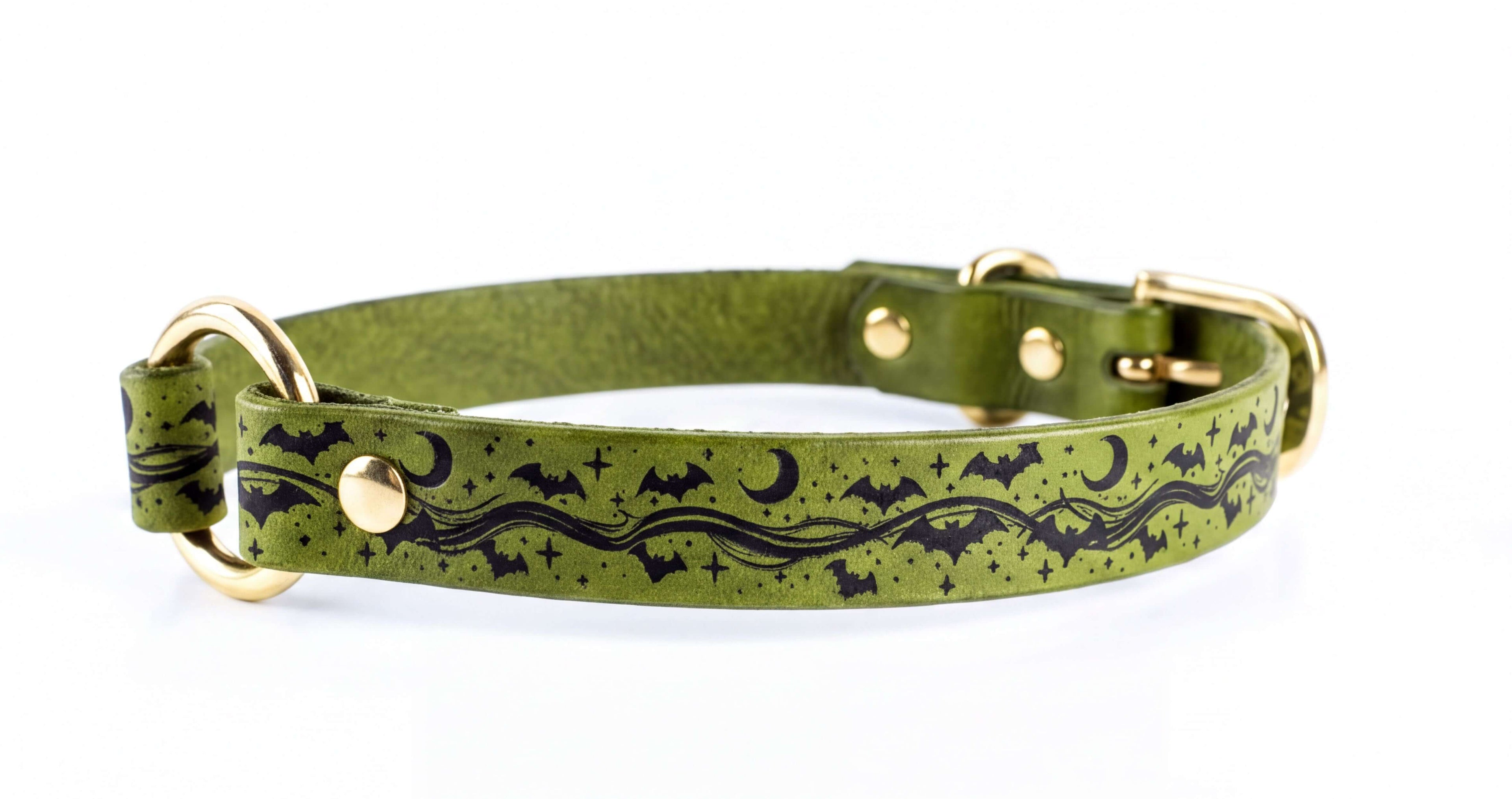 A green leather dog collar with a black bat and star pattern design.