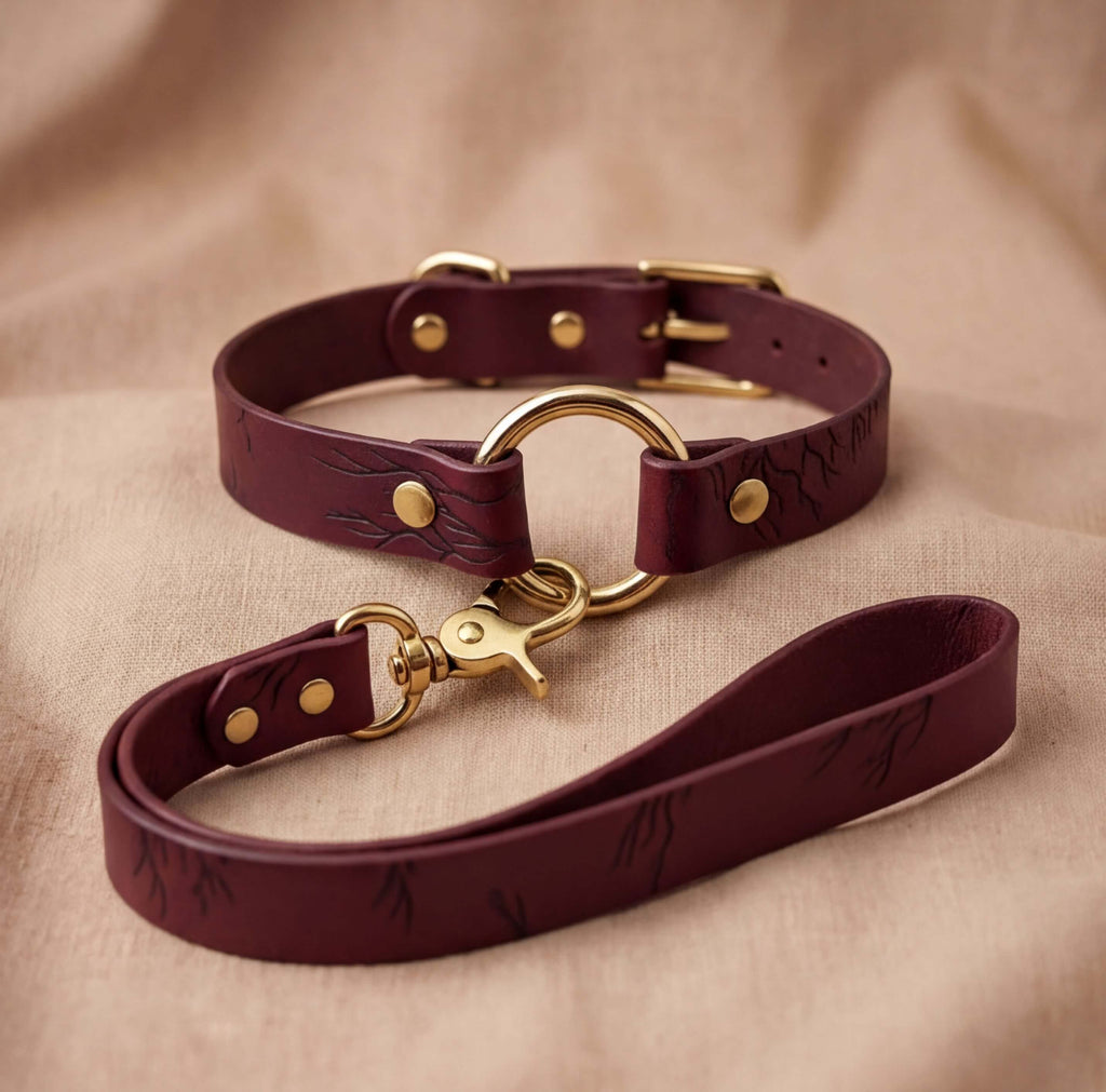 A burgundy leather dog collar with a gold-colored buckle and a matching leash is displayed on a beige fabric background.